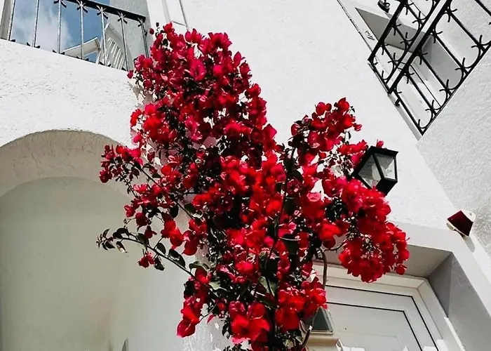 Elenis Studios&apartments Masouri