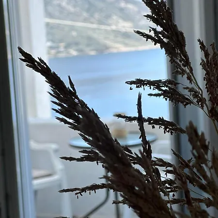 Elenis Studios&apartments