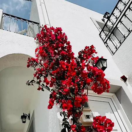 Elenis Studios&apartments Masouri