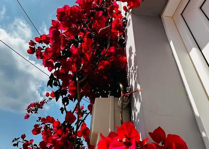 Elenis Studios&apartments